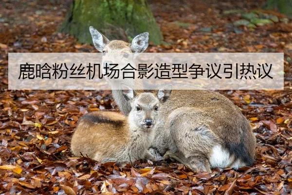 鹿晗粉丝机场合影造型争议引热议